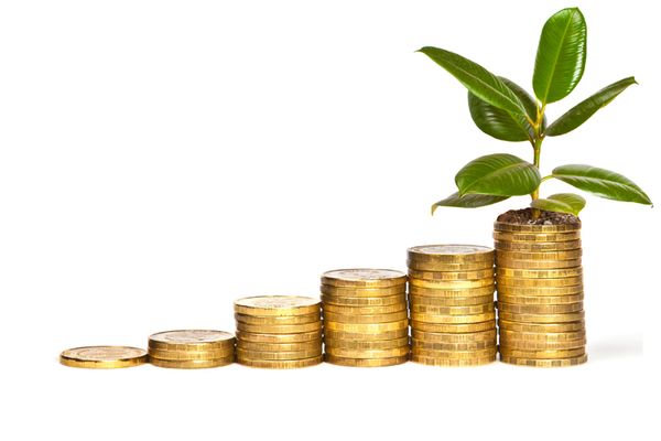 An honest look at insurance SAA